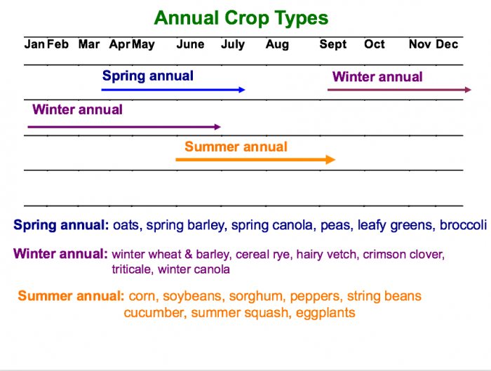annual crop types.png