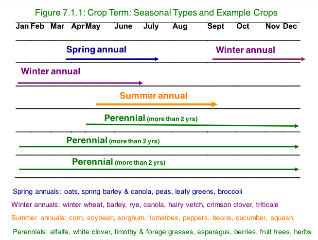 seasonal types.png