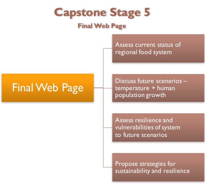 Stage5Diagram_0.png