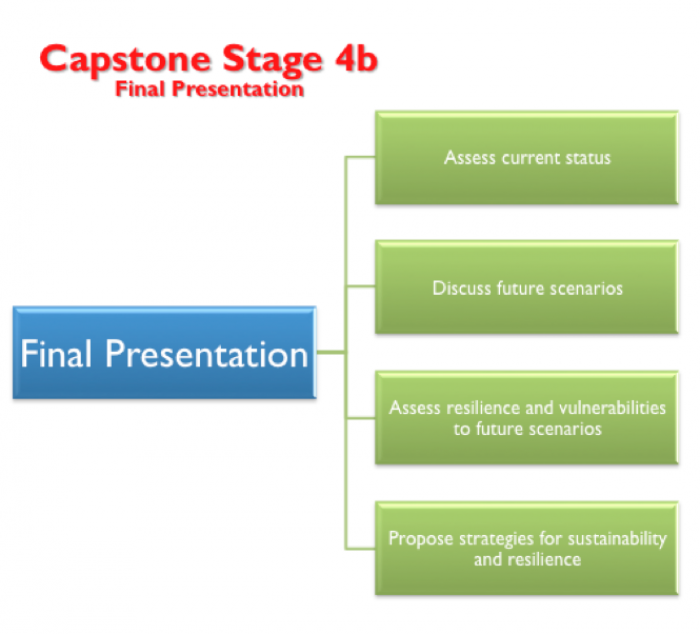 capstone stage 4b.png