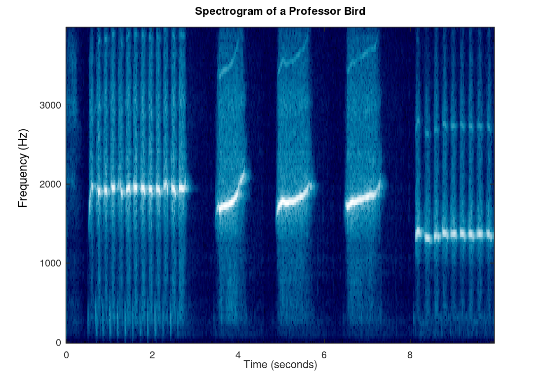 Spectrogram of the sound coming from the rare professor bird. A human can hear best between 1000 Hz and 5000 Hz3 so you would anticipate that a whistle would be in that range (which it is). Also notice the quick chirping followed by longer chirping.
