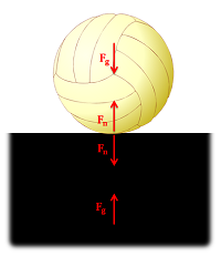 Volleyball on the ground, with the Third Law force pairs of the normal and gravitational forces between these two objects illustrated.