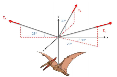 A pterodactyl model hangs from 3 cables, drawn on a 3-dimensional coordinate plane. Cable A makes a 25-degree angle above the x-axis in the negative direction, cable B makes a 30-degree angle above the z-axis in the negative direction, and cable C makes a 20-degree above the xz plane with its projection onto said plane making a 30-degree angle below the positive x-axis.