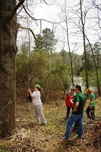 A group of people hang a bear bag from a tree by tying it to one end of a rope draped across a branch, then pulling down on the other end of the rope.