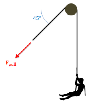 A tree branch, represented end-on as a circle, has a rope thrown over it. The right end of the rope hangs straight down and holds a person; the left end of the rope experiences a pulling force downwards and to the left, at 45 degrees below the horizontal.