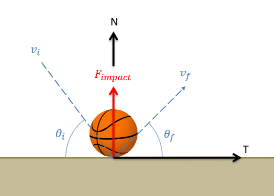 A bouncing basketball at the instant it hits the flat, horizontal floor. The impact force exerted by the floor on the ball points straight upwards, in the normal direction; the tangential direction points along the floor to the right. The ball's initial velocity vector, before the impact with the floor, points down and to the right and makes an angle of theta_initial with the tangential axis. The ball's final velocity vector, after the impact with the floor, points up and to the right and makes an angle of theta_final with the tangential axis.