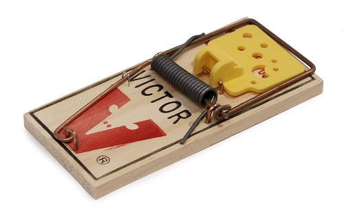 A mousetrap with a wooden base and a jaw that slams shut due to the action of a spring when the trigger is touched.