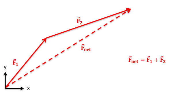 El primer cuadrante de un sistema de coordenadas cartesianas bidimensionales. Un vector F_1 se extiende hacia la derecha y bruscamente hacia arriba desde el origen. Un segundo vector F_2 se coloca con su cola en la cabeza de F_1, y se extiende más hacia la derecha y se coloca hacia arriba. El vector F_net que es la suma de estos dos vectores se extiende desde el origen hasta la cabeza del vector F_2.