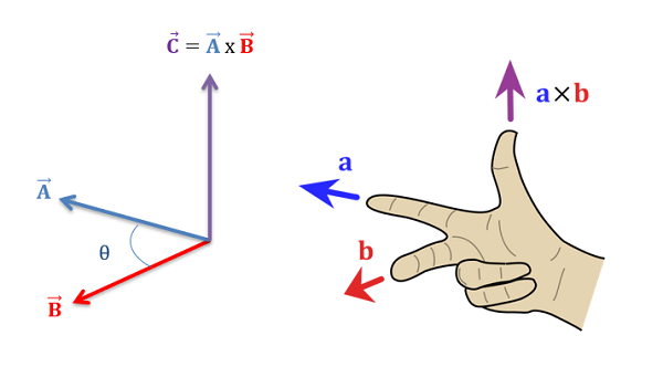 The set of vectors from Figure 1 above are shown, as well as a person's right hand. The hand's extended index finger points in the direction of vector A: leftward and into the page. The extended middle finger points in the direction of vector B: leftwards and slightly out of the page. The extended thumb points upwards, in the direction of vector C, or the product of A cross B.