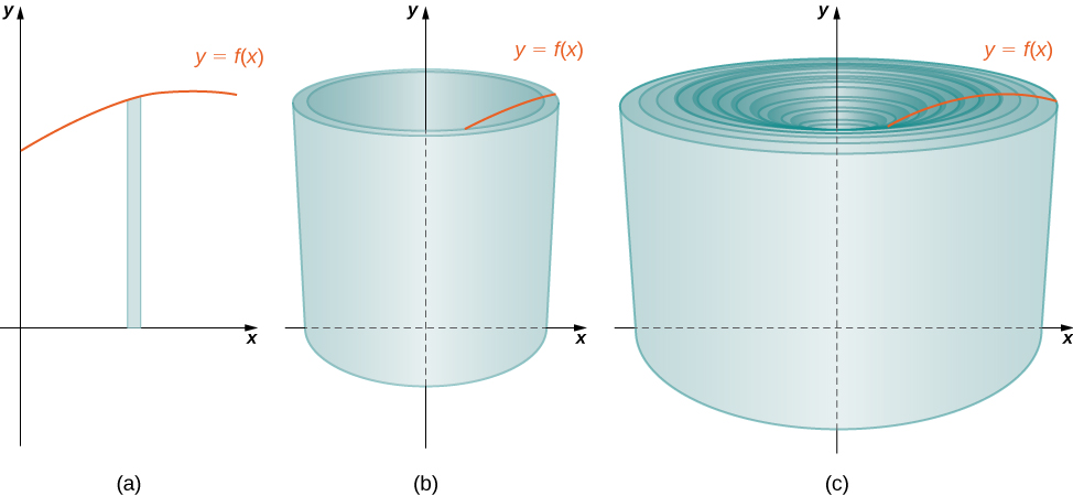  (a) A representative rectangle. (b) When this rectangle is revolved around the y-axis, the result is a cylindrical shell. (c) When we put all the shells together, we get an approximation of the original solid.