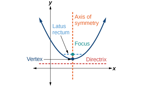 This image displays key features of the parabola. It points out that the axis of symmetry passes through the focus and vertex and is perpendicular to the directrix. The vertex is the midpoint between the directrix and the focus. The line segment that passes through the focus and is parallel to the directrix is called the latus rectum. The endpoints of the latus rectum lie on the curve. 