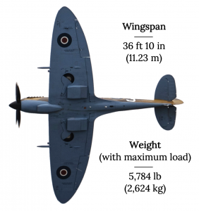 El Spitfire británico se muestra desde abajo con sus grandes alas elípticas y su cola se muestran de manera prominente. La envergadura aparece como 36 pies 10 pulgadas, o 11.23 metros, y el peso máximo de despegue de carga aparece como 5784 libras, o 2624 kilogramos.