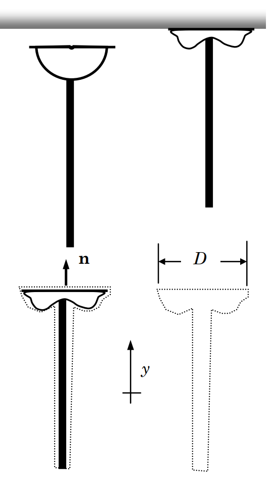 A hollow rubber hemisphere atop one end of a stick is shown in its normal shape, as well as its deformed shape when the hemisphere's open end is pressed against a flat surface at the top of the diagram. A system consists of the assembly in its deformed shape, outlined by a dashed line, experiencing a net vertical force towards the surface it is pressed against.