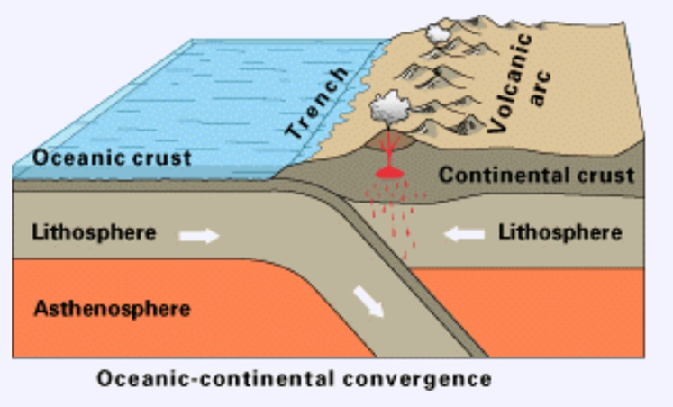 Surface ridge subducts oceanic ridge giving rise to volcanoes at the edge