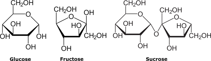 Chemical structures of glucose fructose and sucrose