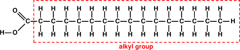 Structure of palmetic acid with a COOH group on one end followed by linear chain of 14 CH2 and a terminating CH3