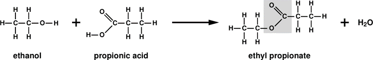 Reaction between ethanol and propionic acid to produce ethyl propionate and water