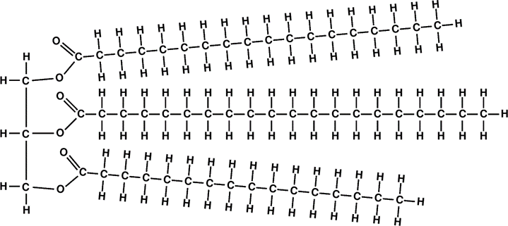 Triglyceride molecule structure