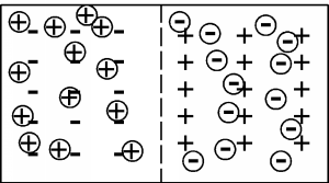 La unión de la Figura 4 después de alguna recombinación ha ocurrido, por lo que ha desaparecido un número igual de los signos más y menos encerrados en círculo.