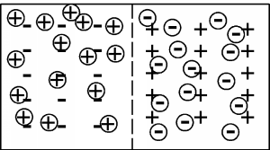 A rectangle is divided down its center by a vertical dotted line. A grid of minus signs fills the left half, and a grid of plus signs fills the right half. Plus signs enclosed in circles are scattered over the left half of the rectangle, and minus signs enclosed in circles are scattered over the right half.