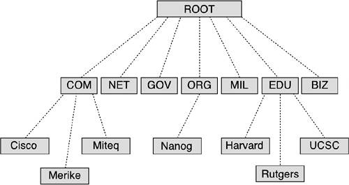 Showing the hierarchy of the domain name system. The Root of all domains, and then the second level domains, such as .com, .net, .gov etcetera.