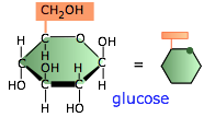 glucosepoly-gluc.png