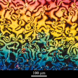 Micrograph of nematic liquid crystalline polymer