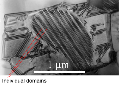 Micrograph showing domains within a single grain