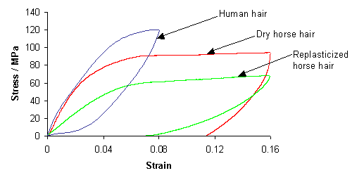 Stress-strain curves for samples of hair